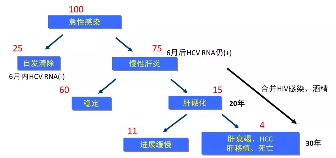 丙肝檢測的弱陽性究竟是不是感染了丙肝？